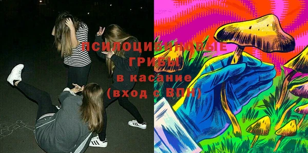 твердый Долгопрудный