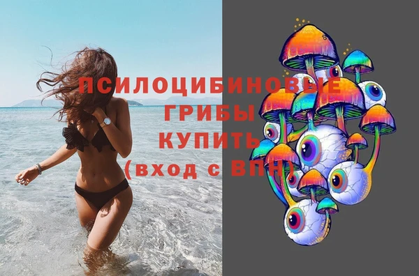 стафф Волоколамск