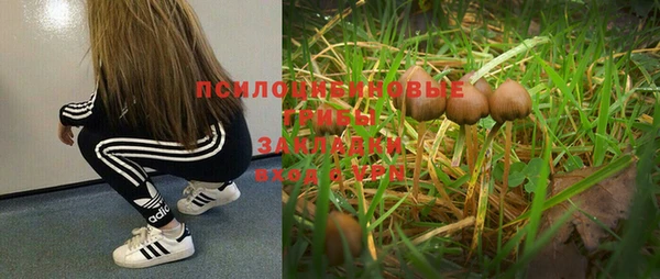 мяу мяу мука Бронницы