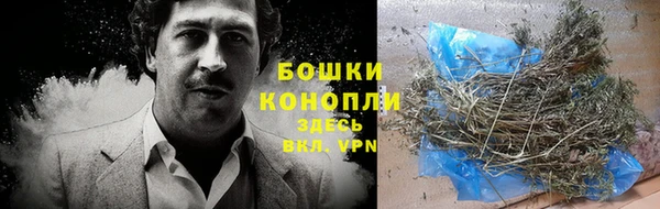 стафф Волоколамск