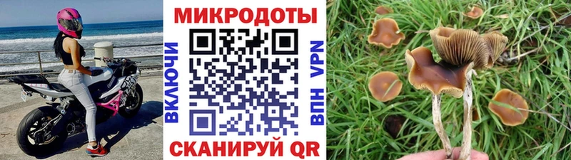 Галлюциногенные грибы Magic Shrooms  ссылка на мегу как войти  Завитинск 